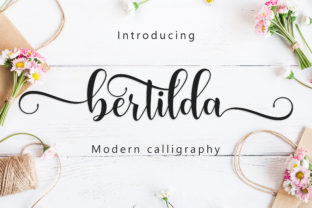 Bertilda Script: The Handwritten Font That Makes Your Campaign Stand Out