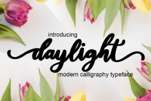Daylight: A Playful & Elegant Handwritten Font for Real Branding