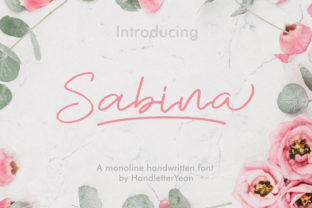 Sabina: A Handwritten Font That Elevates Marketing Visuals
